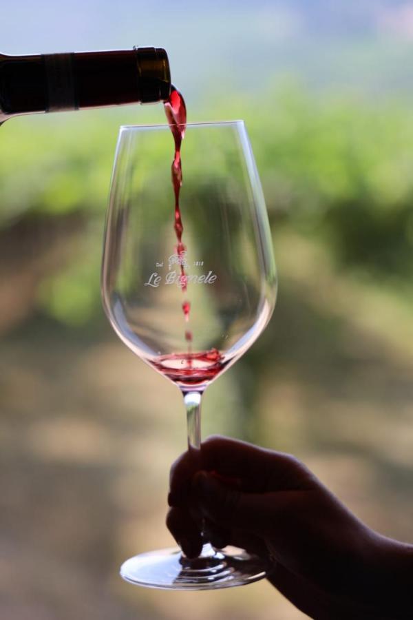 Вілла Le Bignele Marano di Valpolicella Екстер'єр фото